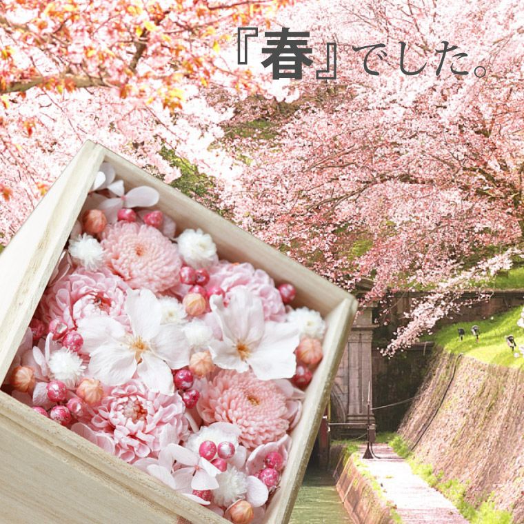 桜桐箱 プリザーブドフラワー