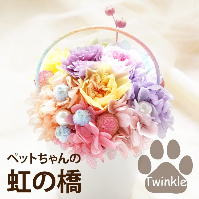 ペットちゃんの虹の橋 Twinkle トゥインクル