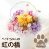 ペットちゃんの虹の橋 Twinkle トゥインクル