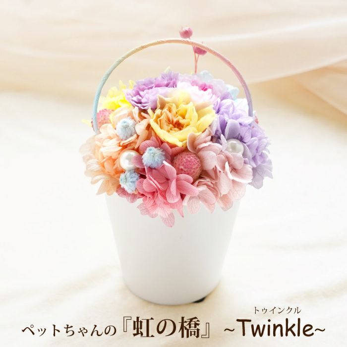 ペットちゃんの虹の橋 Twinkle トゥインクル