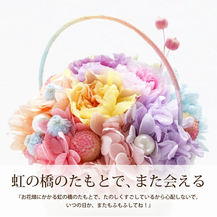 ペットちゃんの虹の橋 Twinkle トゥインクル