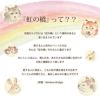 ペットちゃんの虹の橋 Twinkle トゥインクル