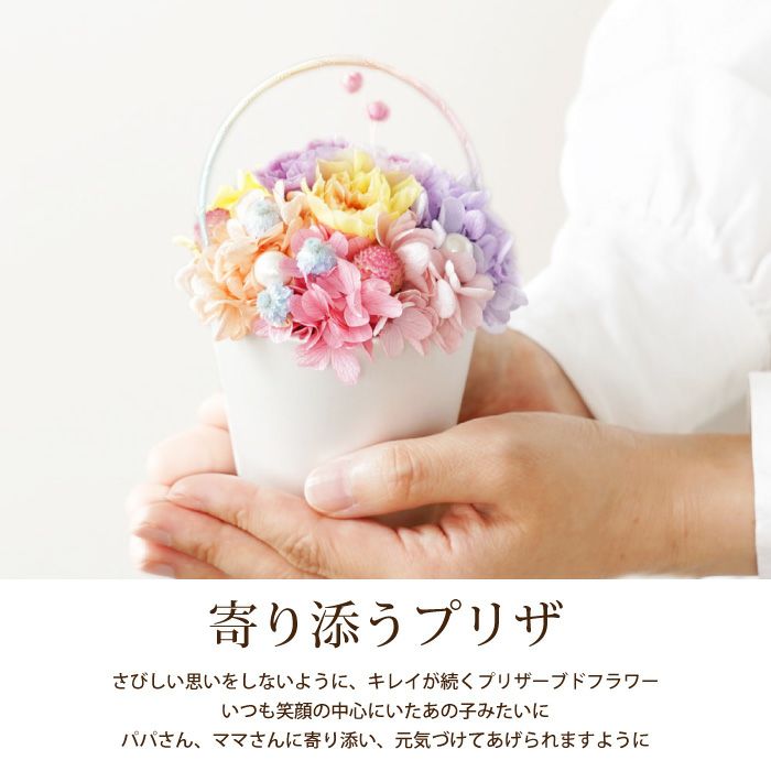 ペットちゃんの虹の橋 Twinkle トゥインクル
