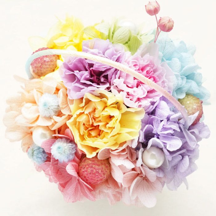 ペットちゃんの虹の橋 Twinkle トゥインクル