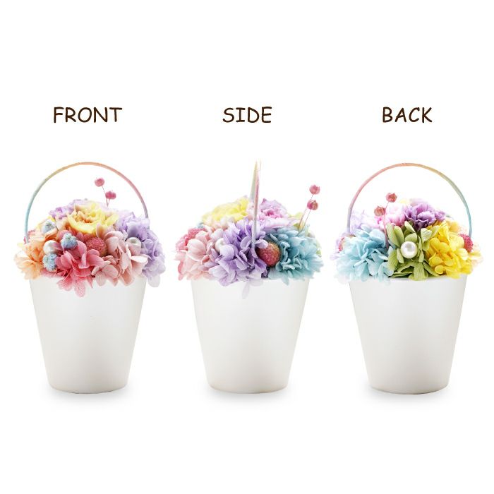 ペットちゃんの虹の橋 Twinkle トゥインクル