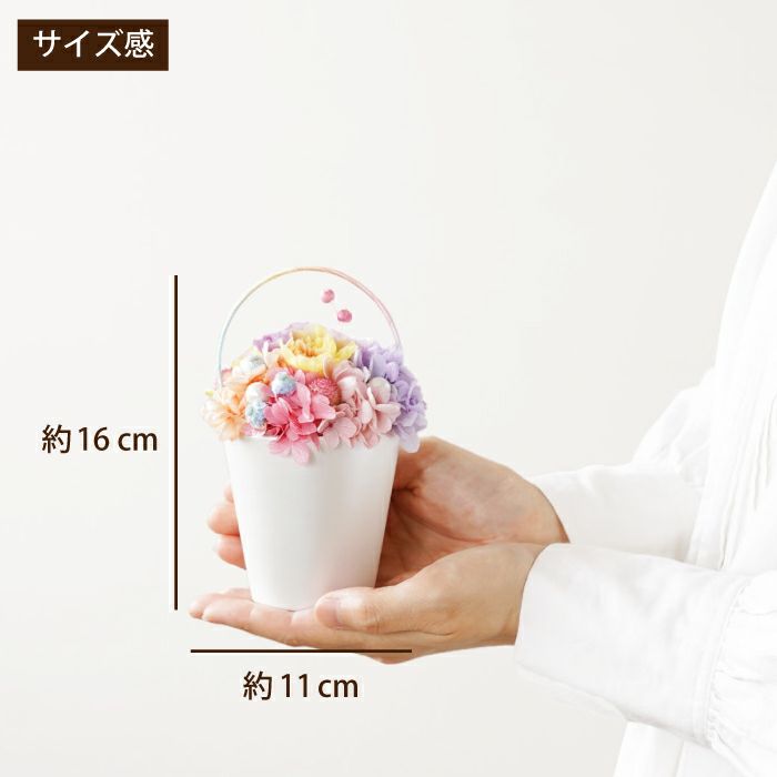 ペットちゃんの虹の橋 Twinkle トゥインクル