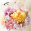 ペットちゃんの虹の橋 Twinkle トゥインクル