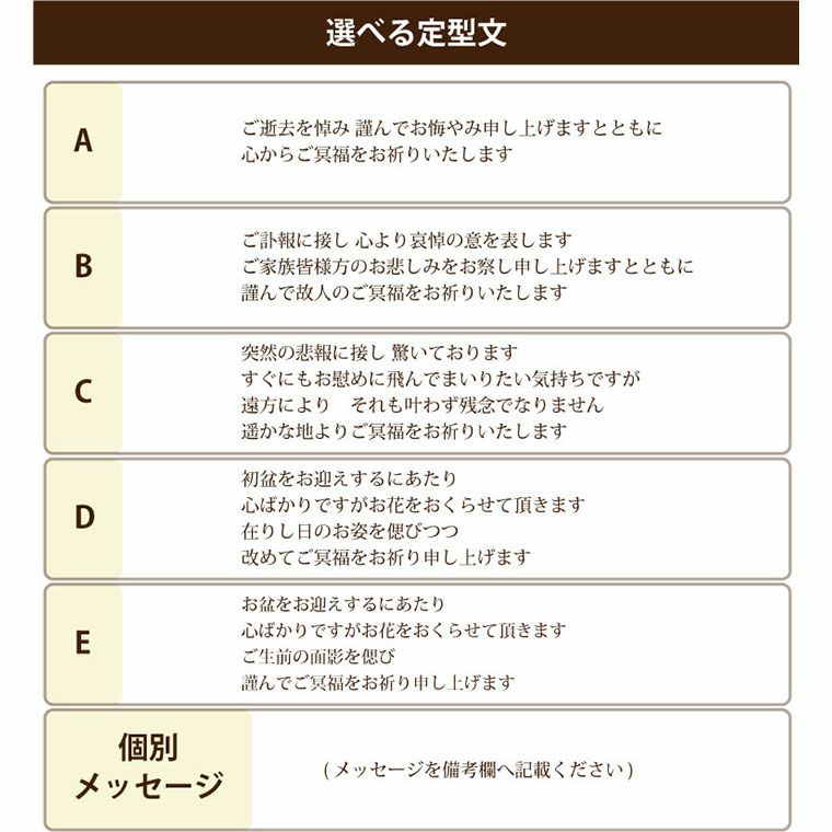 定型文