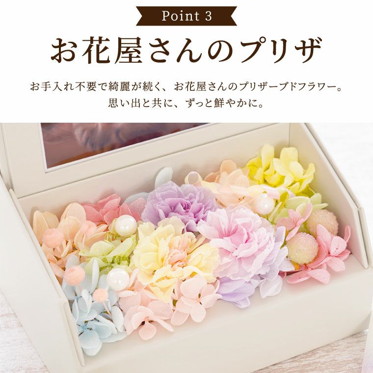 ペットちゃんの 虹の橋 フォトボックス