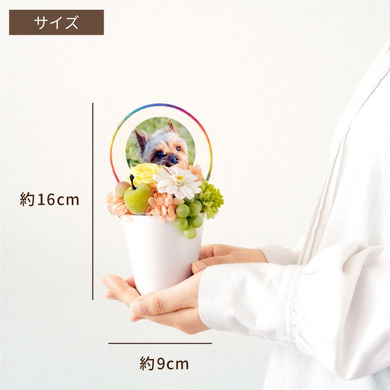 ペットちゃんの虹の橋