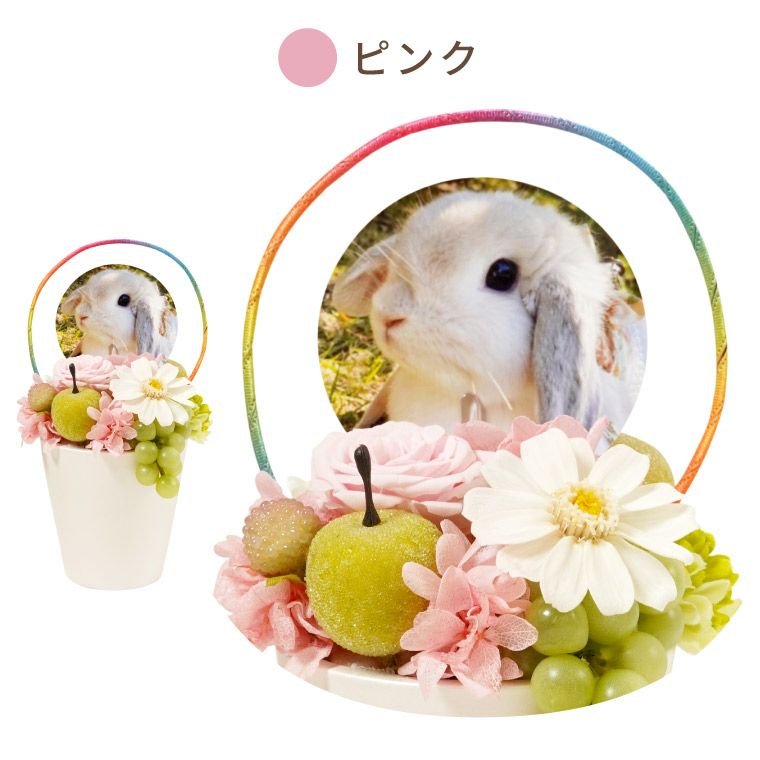 ペットちゃんの虹の橋