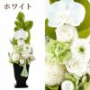お供え花・ゆうか＆お線香セット