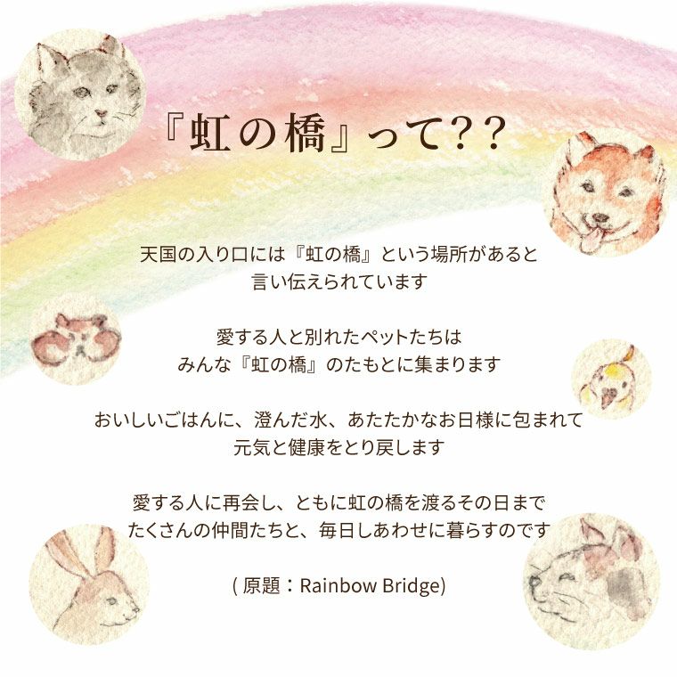 ペットちゃんの虹の橋 エールフラワー お供え 生花