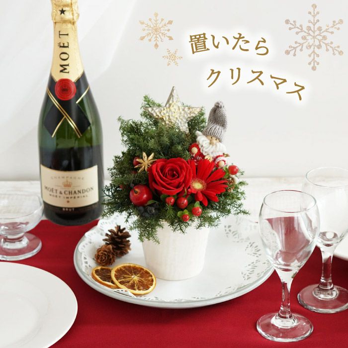 フラワーアレンジメント　クリスマス クリスマス】おまかせアレンジメント