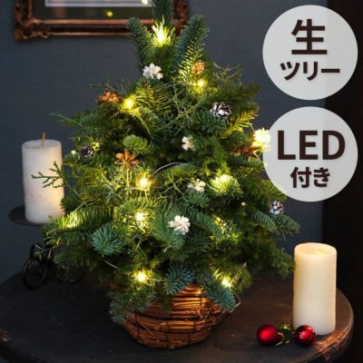 光るLED電飾付き クリスマステーブルツリー・生 40cm』 フレッシュ｜ギフトショップ「FLEGRE（フレグレ）」