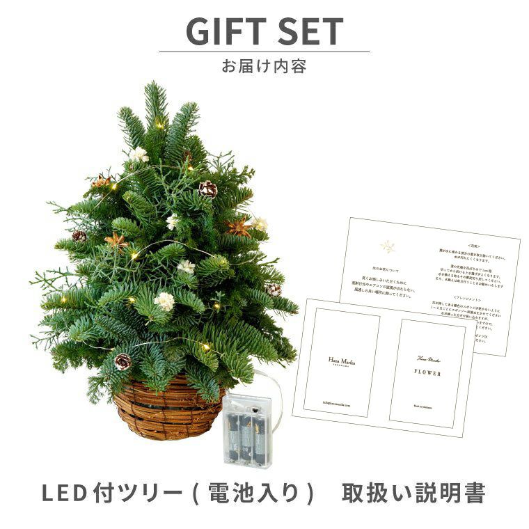 光るLED電飾付き クリスマステーブルツリー・生 40cm』 フレッシュ｜ギフトショップ「FLEGRE（フレグレ）」