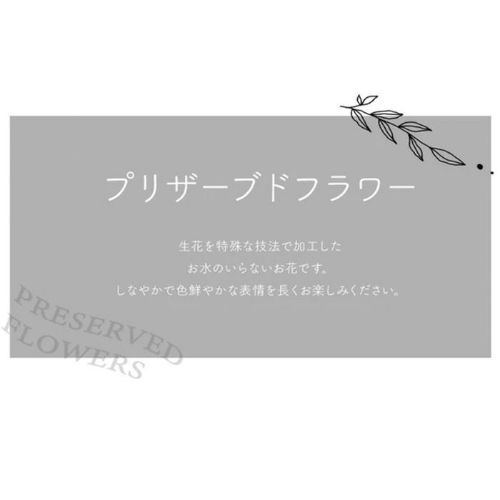 プリザについて