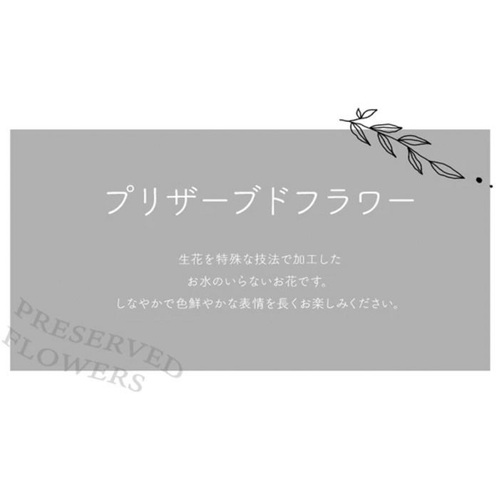 プリザについて
