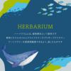 熱帯魚アクアリウム ハーバリウム
