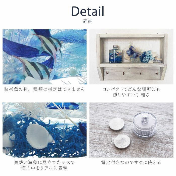 熱帯魚アクアリウム ハーバリウム