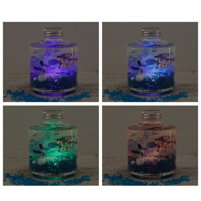 熱帯魚アクアリウム ハーバリウム