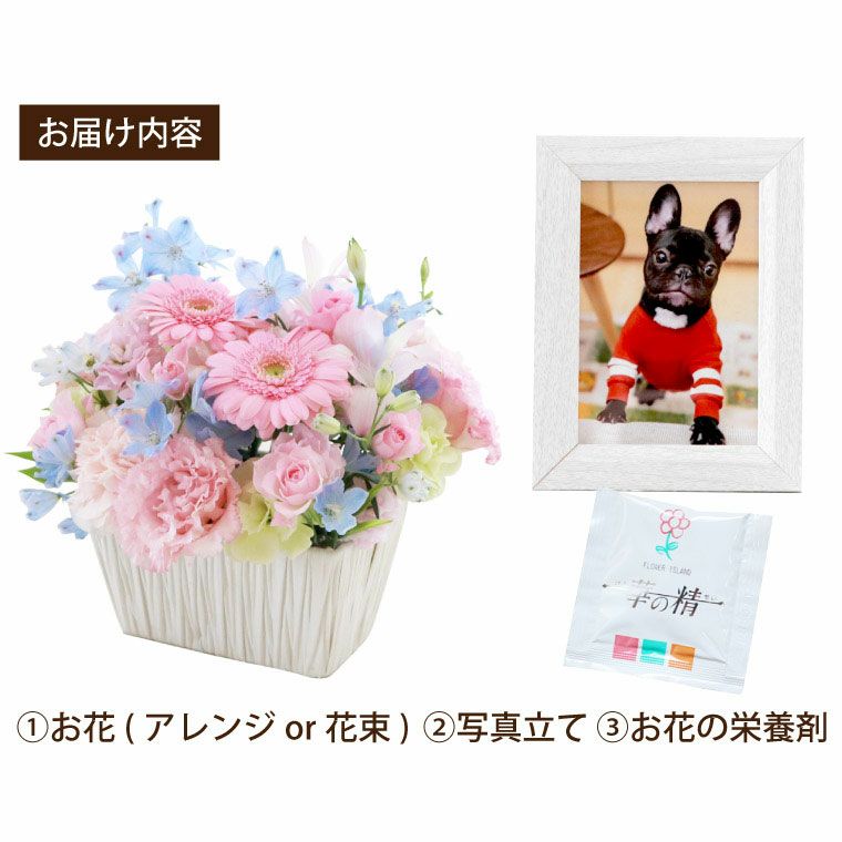 ペットちゃん 星になったあの子へ・AB お供え 生花