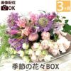 定期便 花々BOX 3回・Sサイズ Bコース 生花