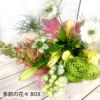 定期便 花々BOX 3回・Sサイズ Bコース 生花