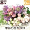 定期便 花々BOX 6回・Sサイズ Bコース