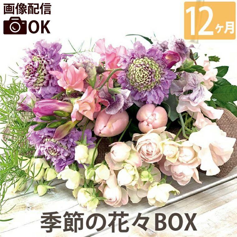 定期便 花々BOX 12回・Sサイズ Bコース