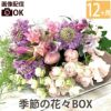 定期便 花々BOX 12回・Sサイズ Bコース