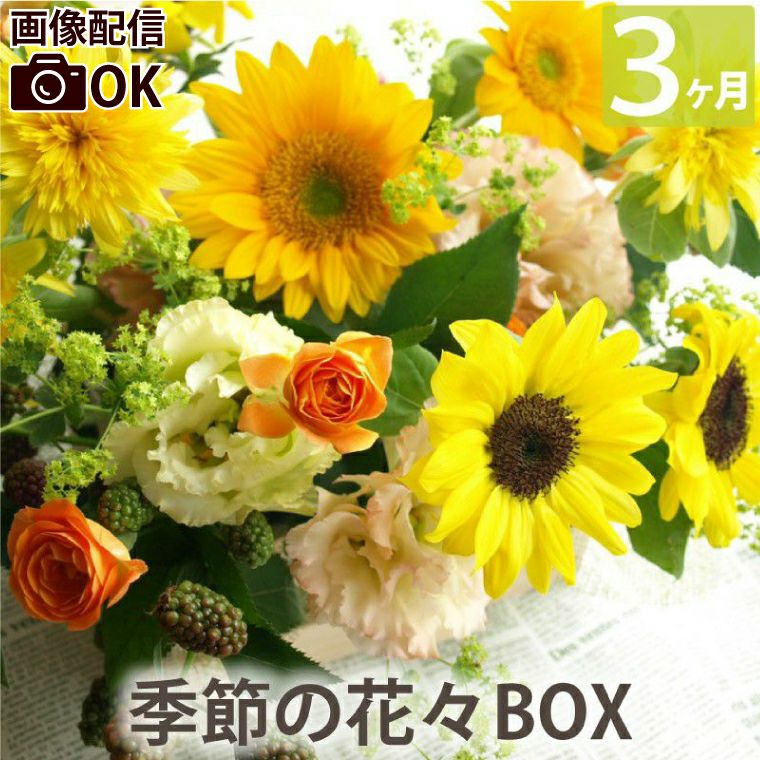 定期便 花々BOX 3回・Mサイズ Cコース