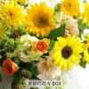 定期便 花々BOX 3回・Mサイズ Cコース