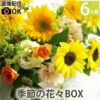 定期便 花々BOX 6回・Mサイズ Cコース