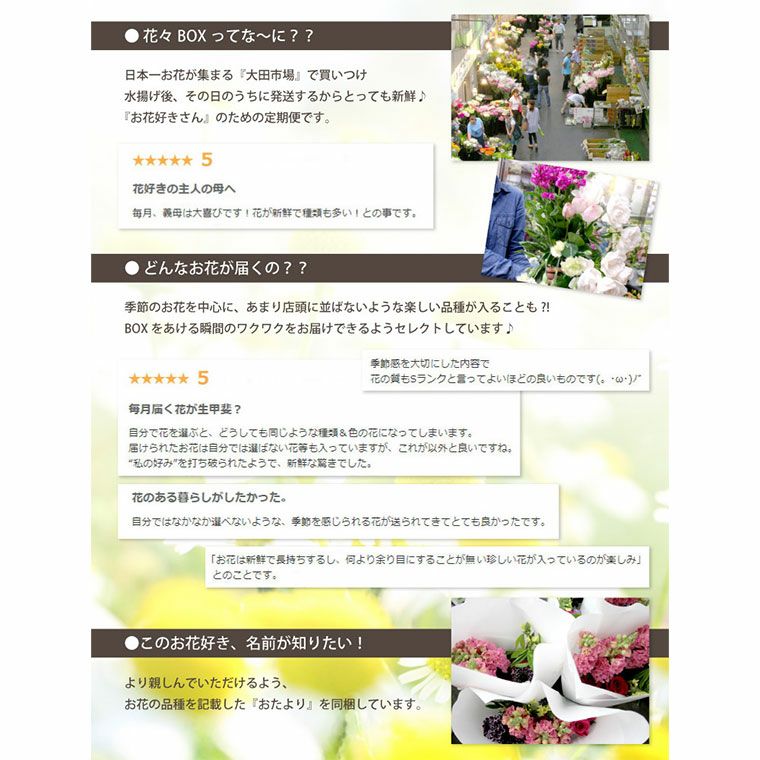 定期便 花々BOX 6回・Mサイズ Cコース