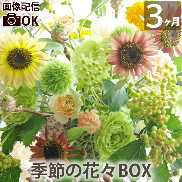 定期便 花々BOX 3回・Lサイズ Dコース