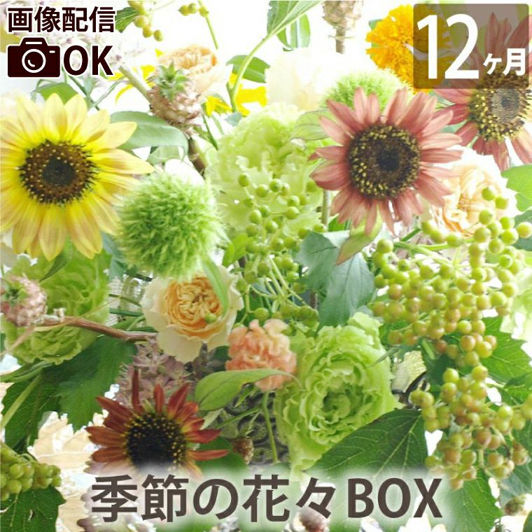 定期便 花々BOX 12回・Lサイズ Dコース