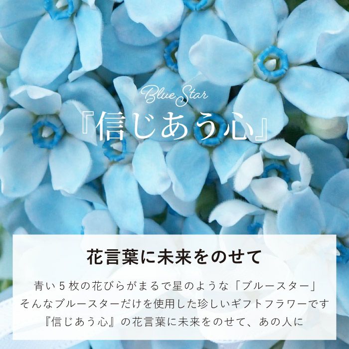 ブルースターのフラワーアレンジメント 生花