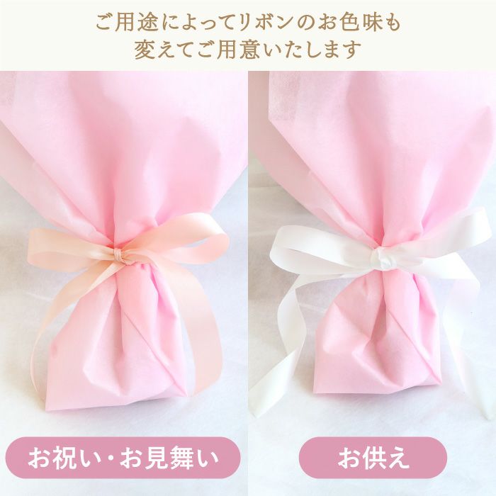 あの人が元気になれそうな花束 ・AB 生花