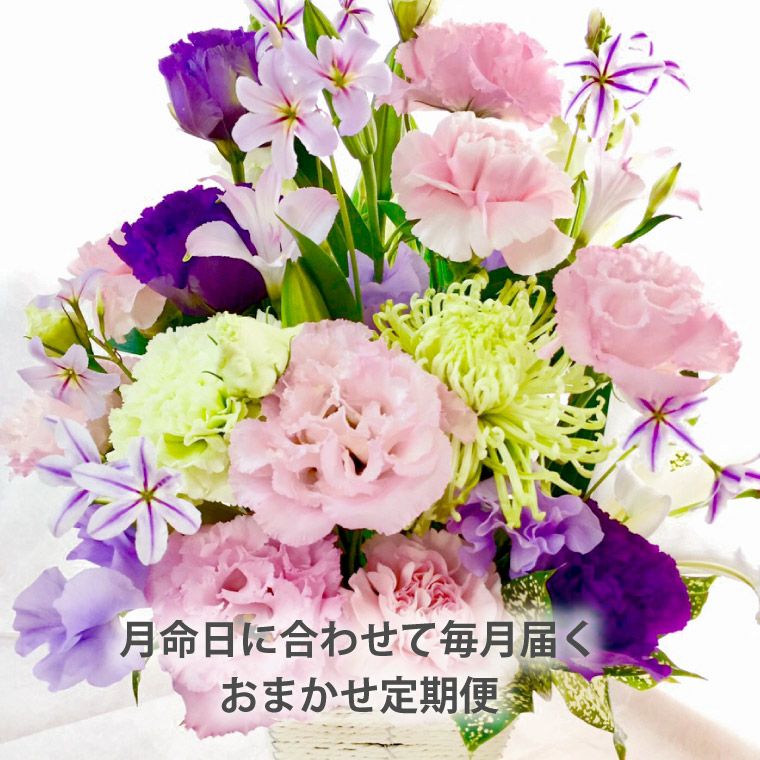 毎月お届け】『お花の定期便(月命日) 星コース12ヶ月』 Mサイズ