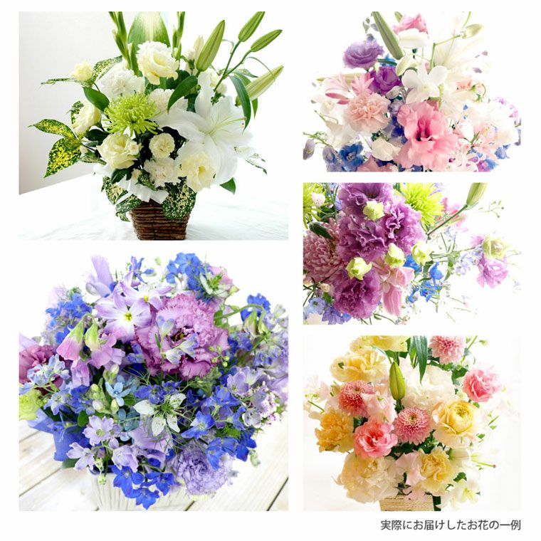 毎月お届け】『お花の定期便(月命日) 星コース12ヶ月』 Mサイズ