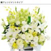 お花の定期便(月命日) 虹コース3ヶ月