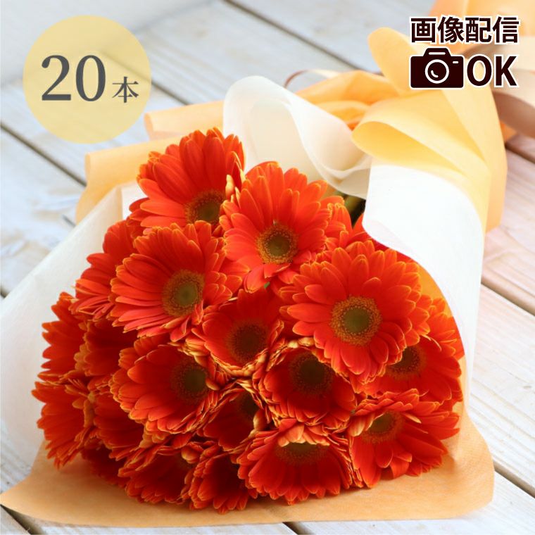 ガーベラの花束 20本・花言葉 &quot;希望・前進&quot; 生花