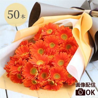 『ガーベラの花束 50本・花言葉 "希望・前進"』 生花