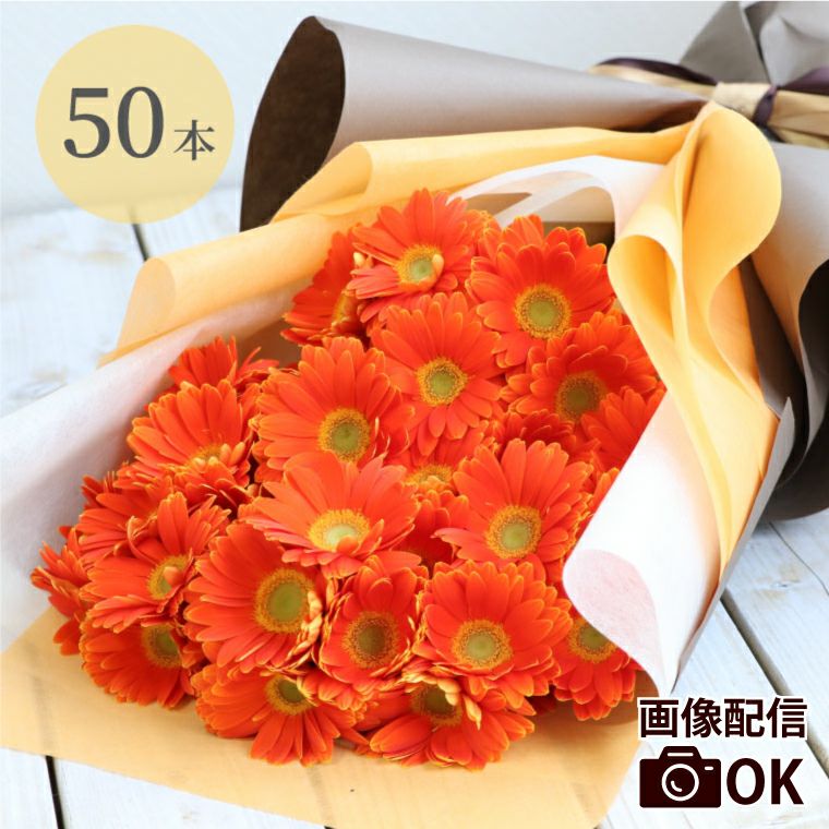 ガーベラの花束 50本・花言葉 &quot;希望・前進&quot; 生花