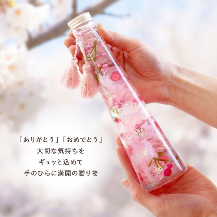 桜 ハーバリウム・Lサイズ