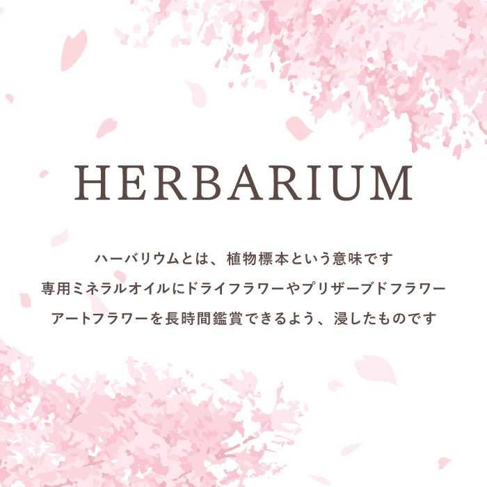 桜 ハーバリウム・Lサイズ