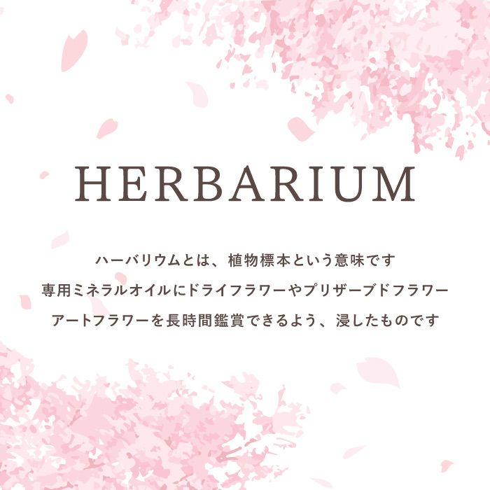 桜 ハーバリウム・Sサイズ