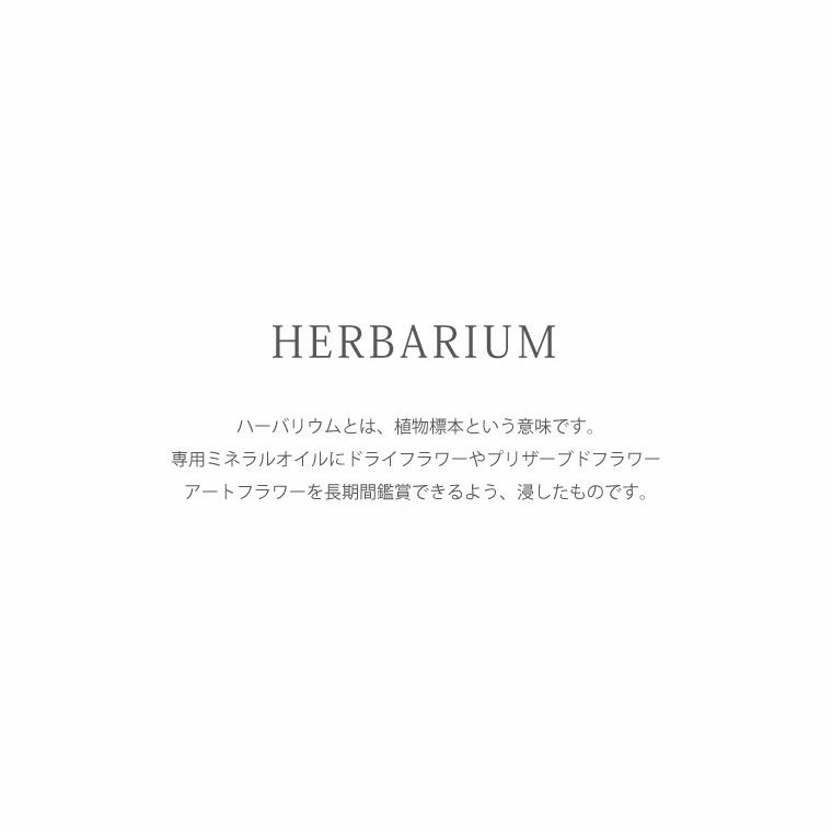桜ハーバリウム ボールペン 替え芯付き