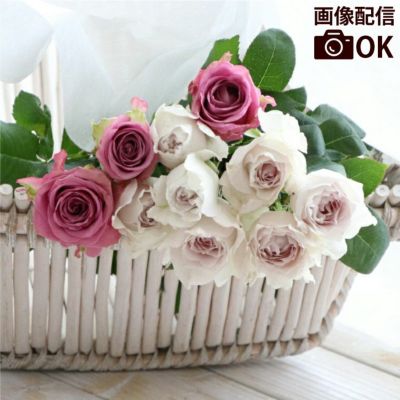 『バラ好きクラブ 薔薇の定期便 12回』 生花
